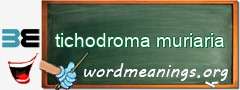 WordMeaning blackboard for tichodroma muriaria